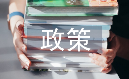 補(bǔ)充醫(yī)療保險(xiǎn)政策