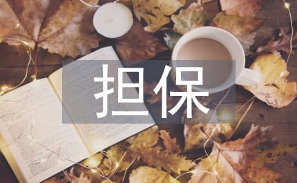 個(gè)人住房保證擔(dān)保借款合同