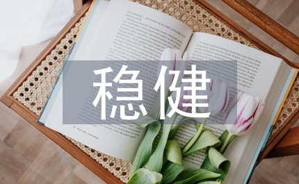 穩(wěn)健財(cái)政政策財(cái)政