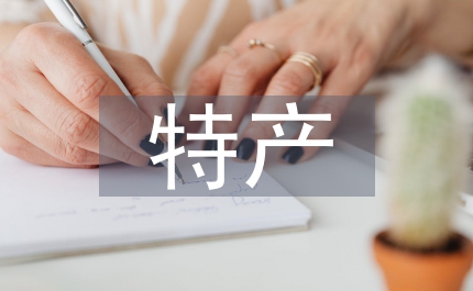 市鎮(zhèn)農(nóng)特產(chǎn)品流通協(xié)會(huì)年總結(jié)