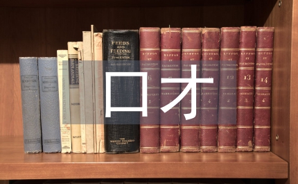 口才表達(dá)能力培訓(xùn)