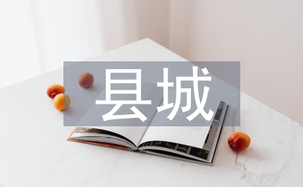 縣城燃氣管理辦法