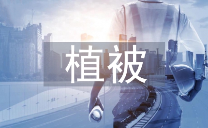 空氣污染對(duì)植被的損傷