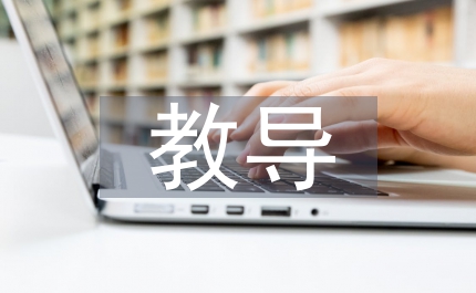 教導(dǎo)工作總結(jié)