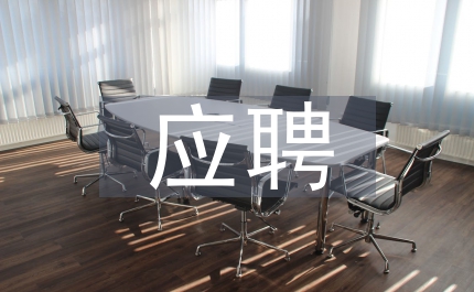 應(yīng)聘崗位工作思路