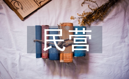 中小型民營企業(yè)管理