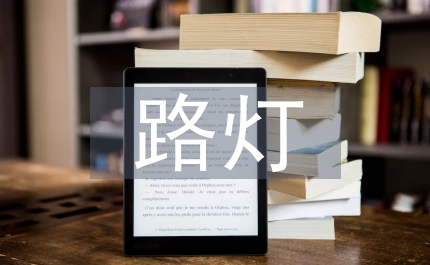 區(qū)政路燈安裝實(shí)施方案