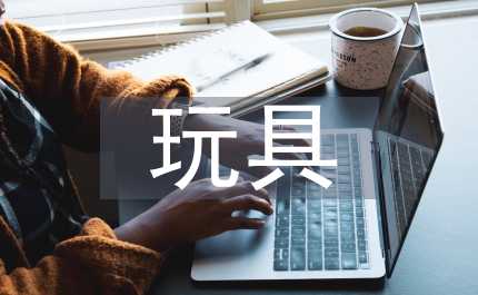 智力開發(fā)玩具
