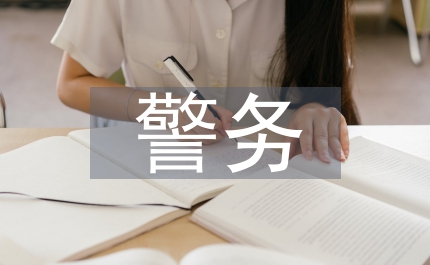 警務(wù)戰(zhàn)略論文:警務(wù)戰(zhàn)略思索