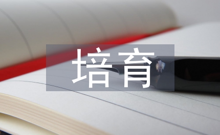 小議甜玉米培育技術(shù)