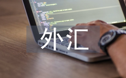 外匯風(fēng)險分析