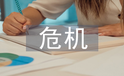 新經(jīng)濟(jì)危機(jī)