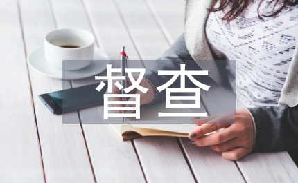 市委督查總結(jié)
