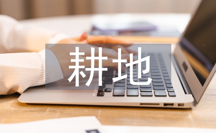防止耕地撂荒工作通知